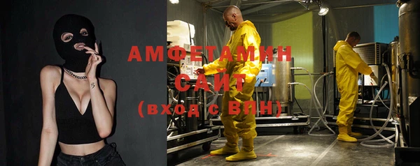 гидра Надым