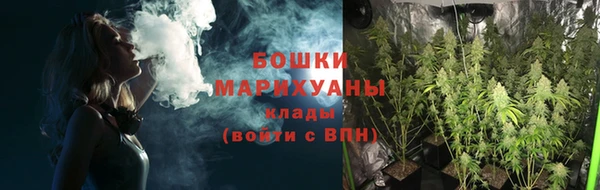 гидра Надым