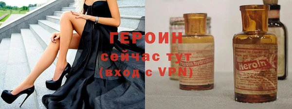 гидра Надым