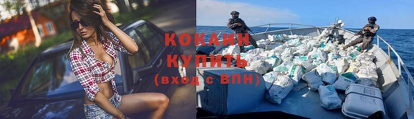 гидра Надым