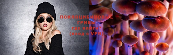 стаф Навашино