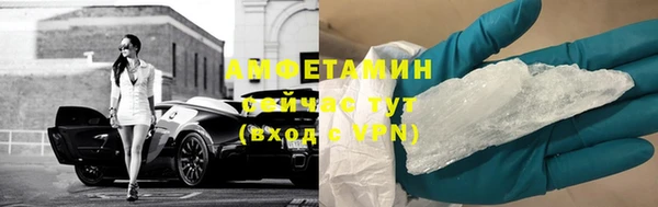 гидра Надым