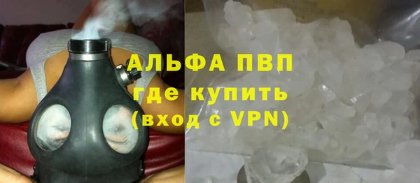 гидра Надым