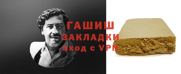 гидра Надым