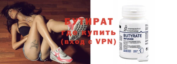 гидра Надым