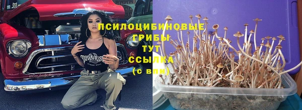 стаф Навашино