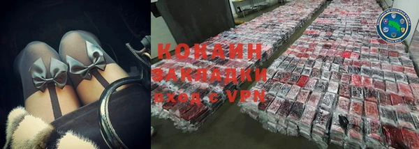 гидра Надым