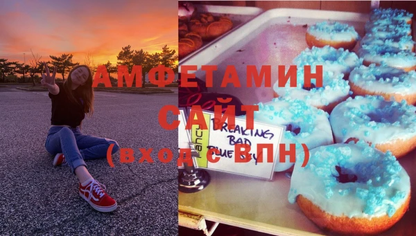 сатива Анжеро-Судженск