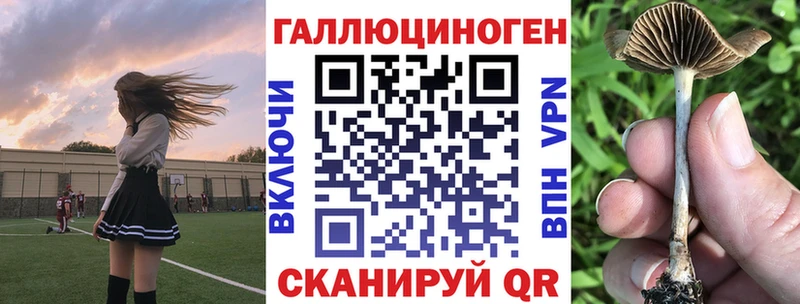 где продают наркотики  Владикавказ  Галлюциногенные грибы мицелий 