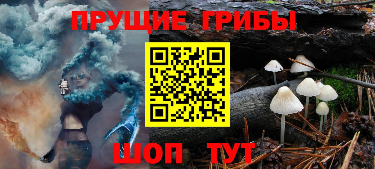 Галлюциногенные грибы MAGIC MUSHROOMS  Вход с VPN  Псилоцибиновые грибы Psilocybine cubensis  Владикавказ 