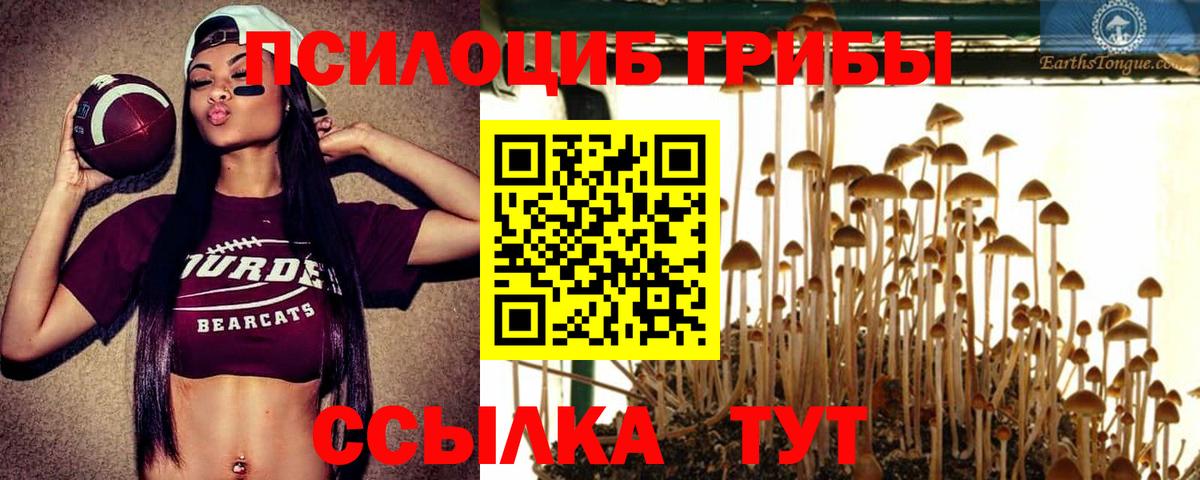Псилоцибиновые грибы MAGIC MUSHROOMS Владикавказ
